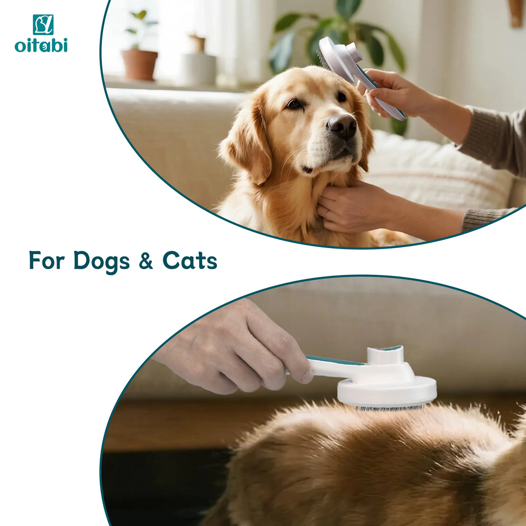 Oitabi Self-Cleaning Slicker Brush for Dogs Cats Lightweight Dog Brush for Shedding Grooming Cat Brush Removes Loose Undercoat