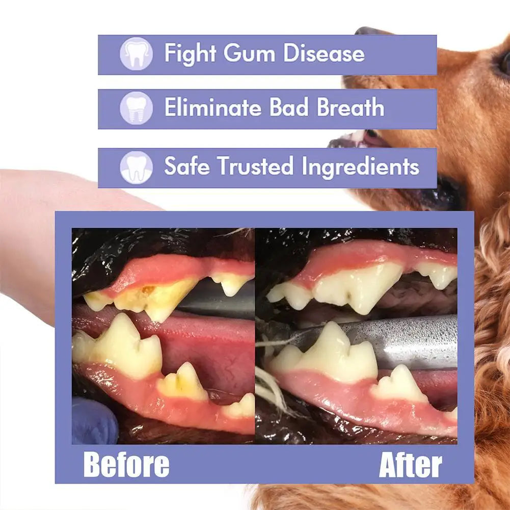 Pet Teeth Cleaning Spray Dogs Cats Teeth Clean Deodorant Prevent Calculus Remove Oral Care Remove Tooth Stains Keep Fresh Breath