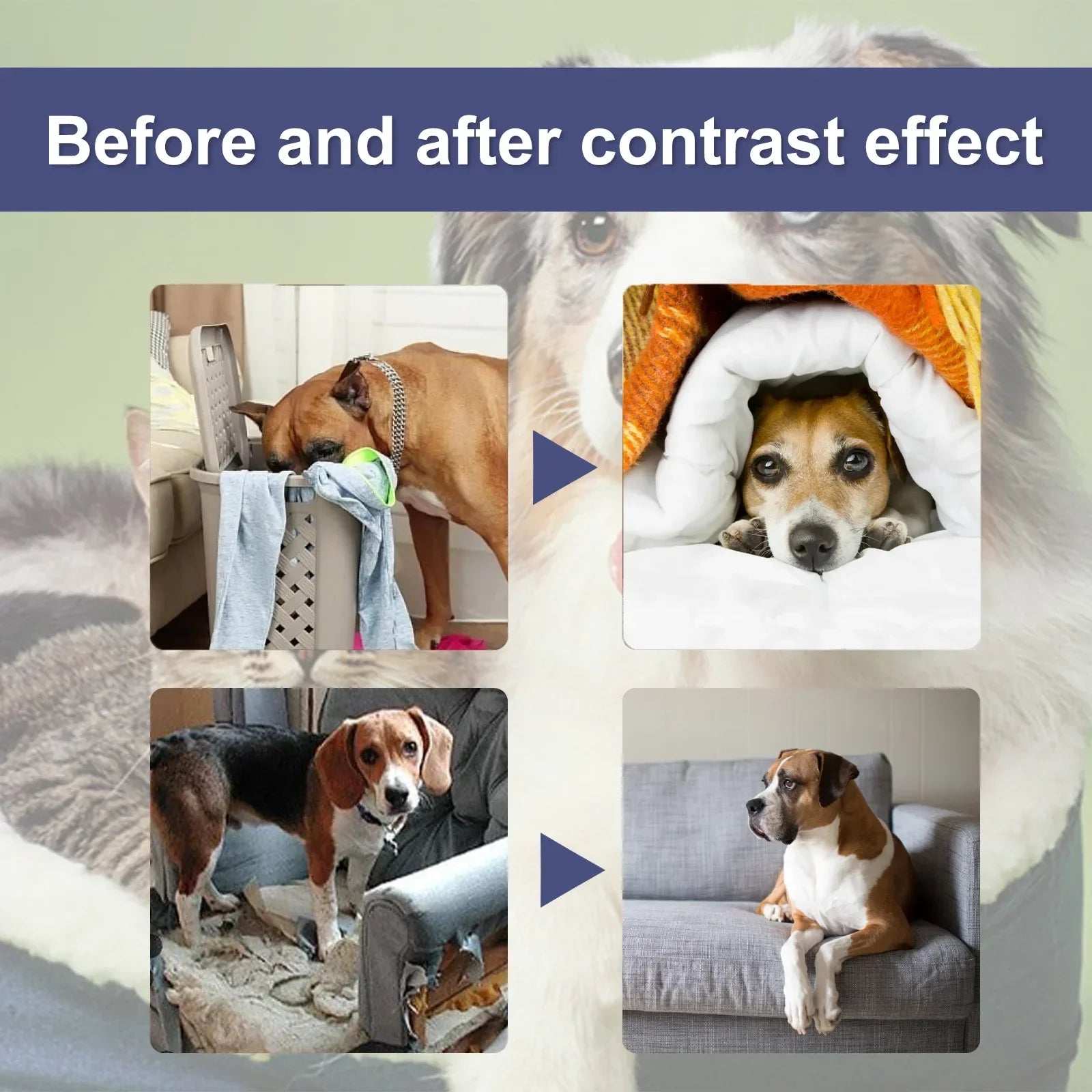 Dog Bitter Spray Anti Chew Training Aid Stop Chewing Furniture Scratching Prevention No Bite Liquid for Puppies Cats Protection
